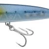 Berkley DEX Mullet Popper Sardine 1 Berkley DEX Mullet Popper Sardine -Vissen Kortingswinkel 036259f43229bc25