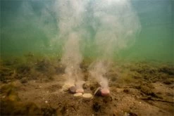 Ultimate Baits Up & Down Tablets 300gr. 9mm. Hi Proteine