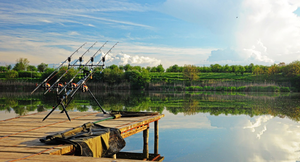 Vissen Kortingswinkel 1 Vissen Kortingswinkel -Vissen Kortingswinkel 1