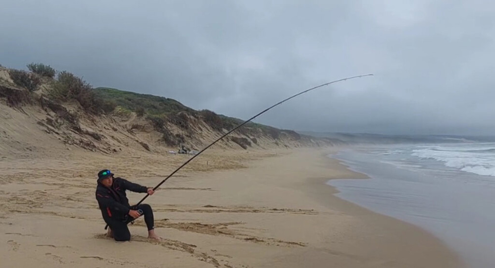 Vissen Kortingswinkel 3 Vissen Kortingswinkel -Vissen Kortingswinkel 2