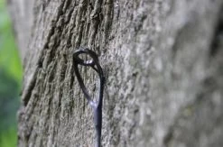 Ashima Travel FFX-S 10ft 3m 3.25Lb -Vissen Kortingswinkel 4a7d69384d52c63c