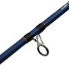 Mitchell Rod Riptide R 212 100/300 Dorade -Vissen Kortingswinkel 7a1dd4b52902f182