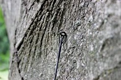 Vissen Kortingswinkel 25 Vissen Kortingswinkel -Vissen Kortingswinkel aad33cca159ee675