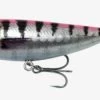 Savage Gear 3D Minnow Pop Walker 8cm 14g F Pink Barracuda PHP -Vissen Kortingswinkel c2628699df9eae7c