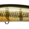 Megabass X-Nanahan +1 GG Baby Perch -Vissen Kortingswinkel dbb4f94e5386b552