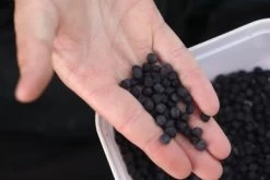 Fjuka 2in1 10mm Black -Vissen Kortingswinkel f97c9debf3824049